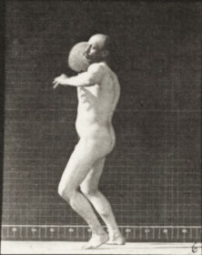 Plate 312 Heaving a 75 lb. rock — figure reference